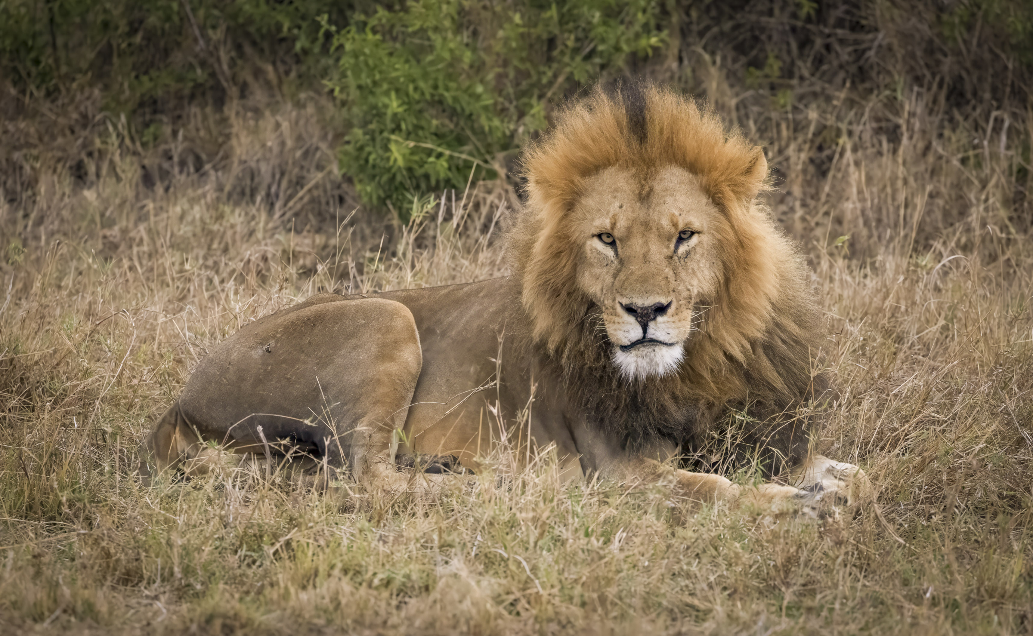 November 11, 2022-173033-Edit-Edit.jpg